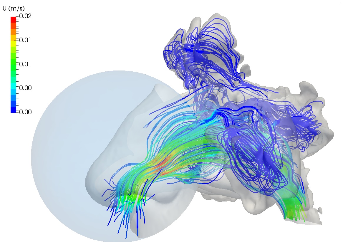 Nasal Flow